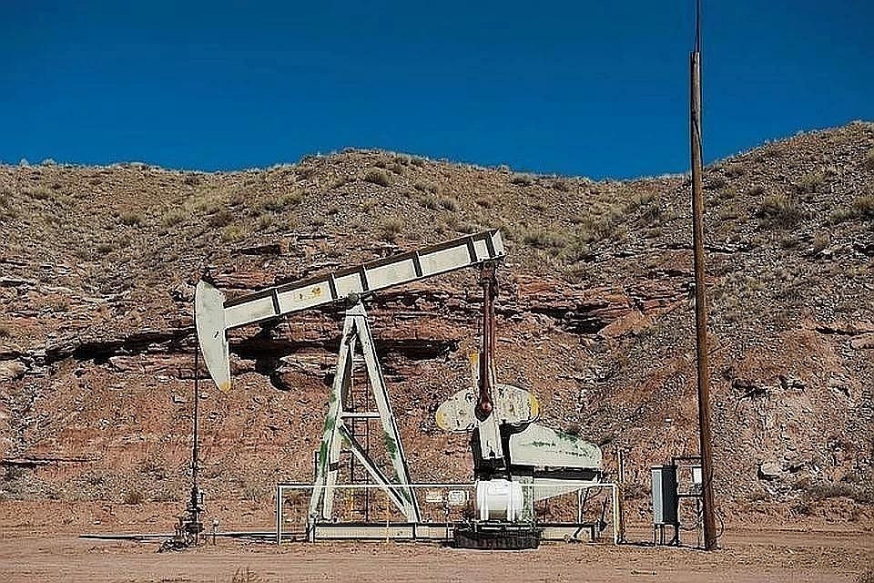 Россия обсудит с «ОПЕК+» сокращение добычи нефти на 14%