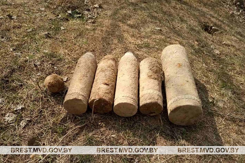 Тракторист в поле увидел снаряд, а саперы нашли еще боеприпасы. Фото: УВД Брестского облисполкома.