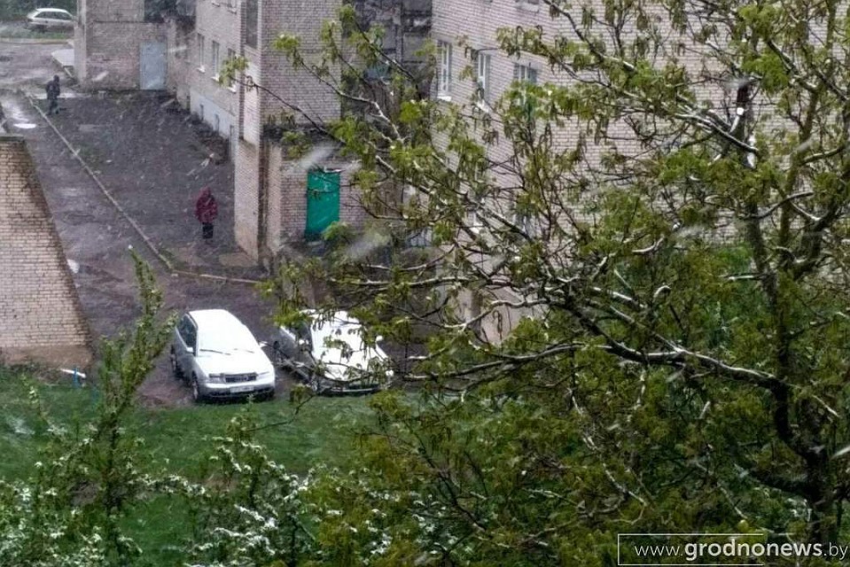 Жителей областного центра ждал сюрприз