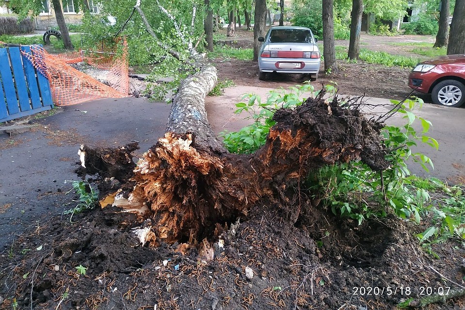 Фото: Алексей Шувалов | https://vk.com/overhear_rzn