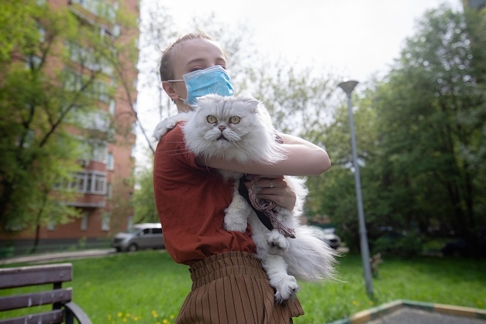 Коронавирус в Кузбассе, последние новости на 20 мая