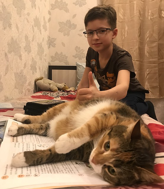 Окончанию учебного года рады и дети, и даже кошки.
