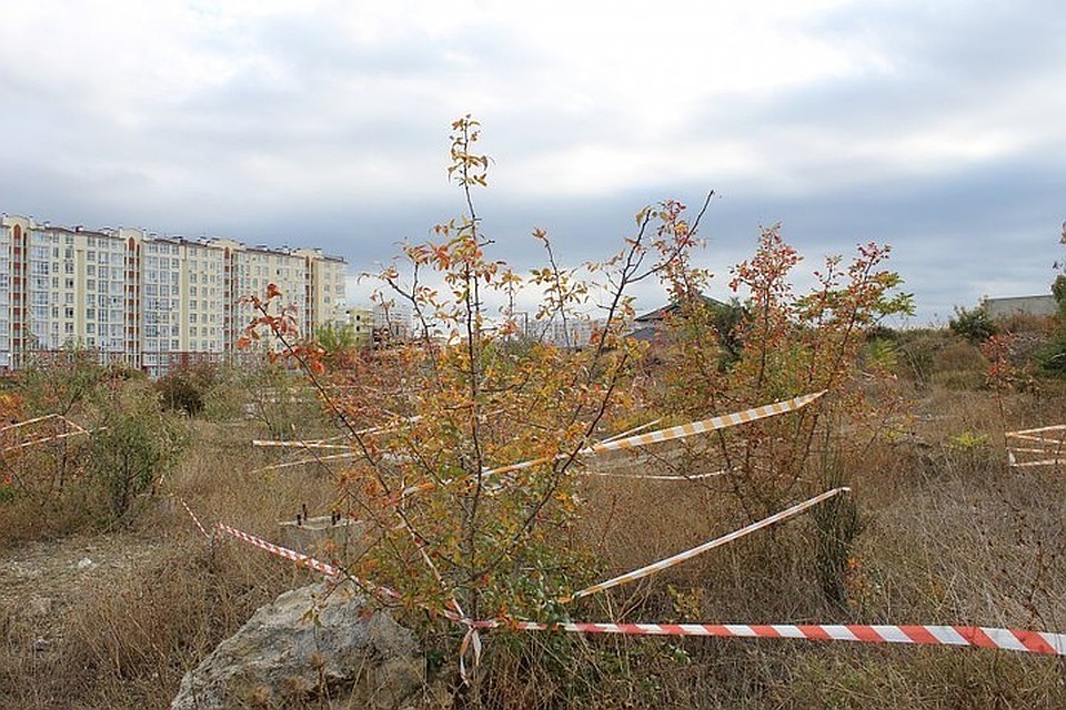 Фото: пресс-служба правительства Севастополя