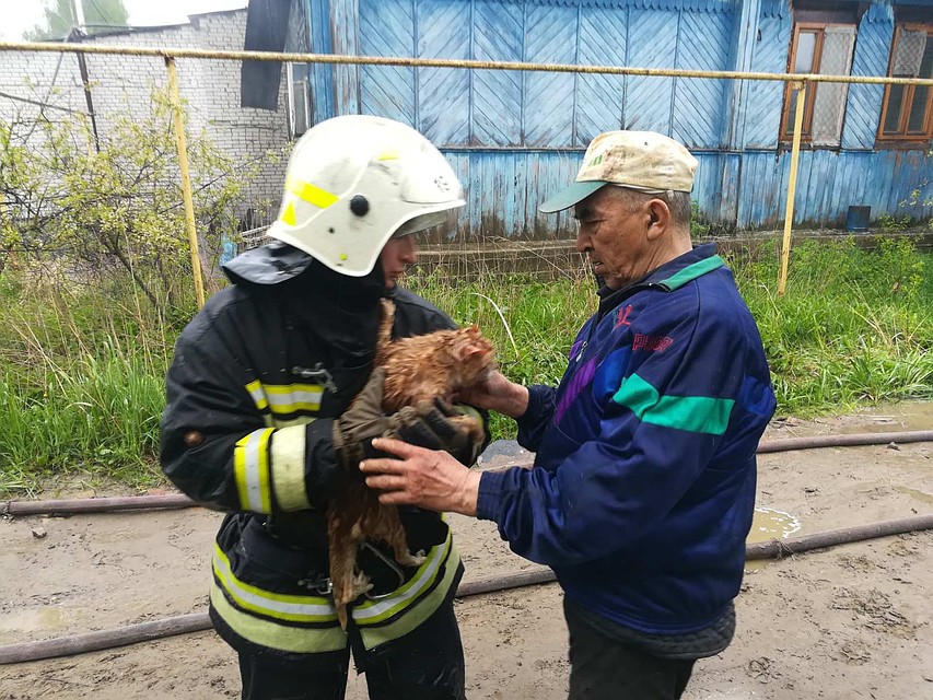 Спасенного кота передают соседям. Предоставлено МЧС России по Владимирской области.
