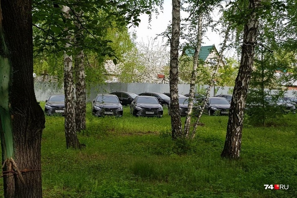 Иномарки стояли в лесу. Фото: 74.ru