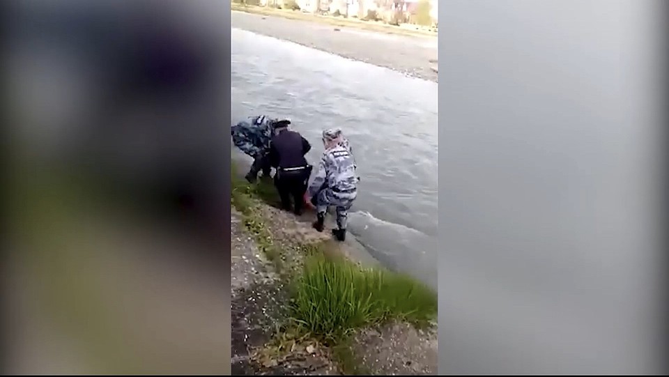 Общими усилиями вытащили девушку из воды. Скрин из видео пресс-службы ГУ Росгвардии по Краснодарскому краю.