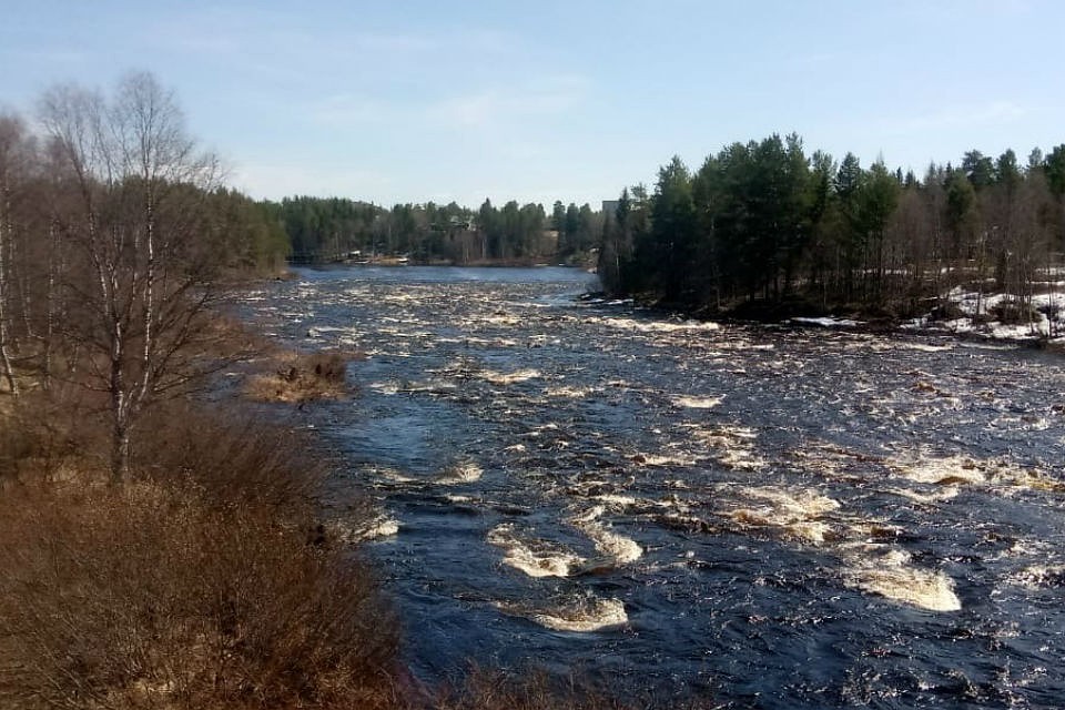 Водолазы изучают реку. Фото: Александр Самарин