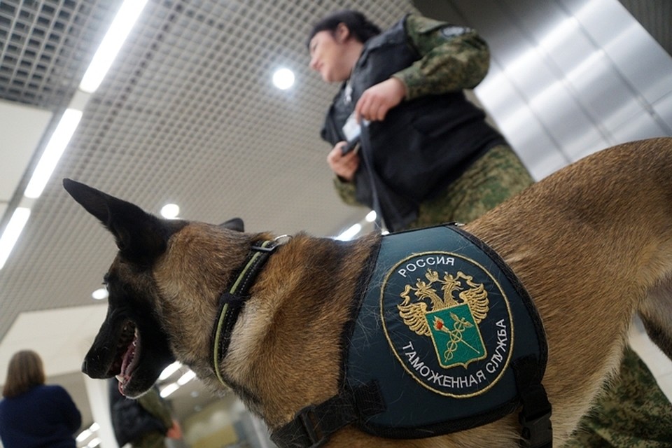 Кузбасская компания незаконно вывела за границу более 31 миллиона рублей
