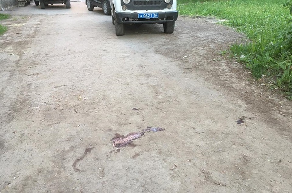 Фото: СУ СКР по Свердловской области