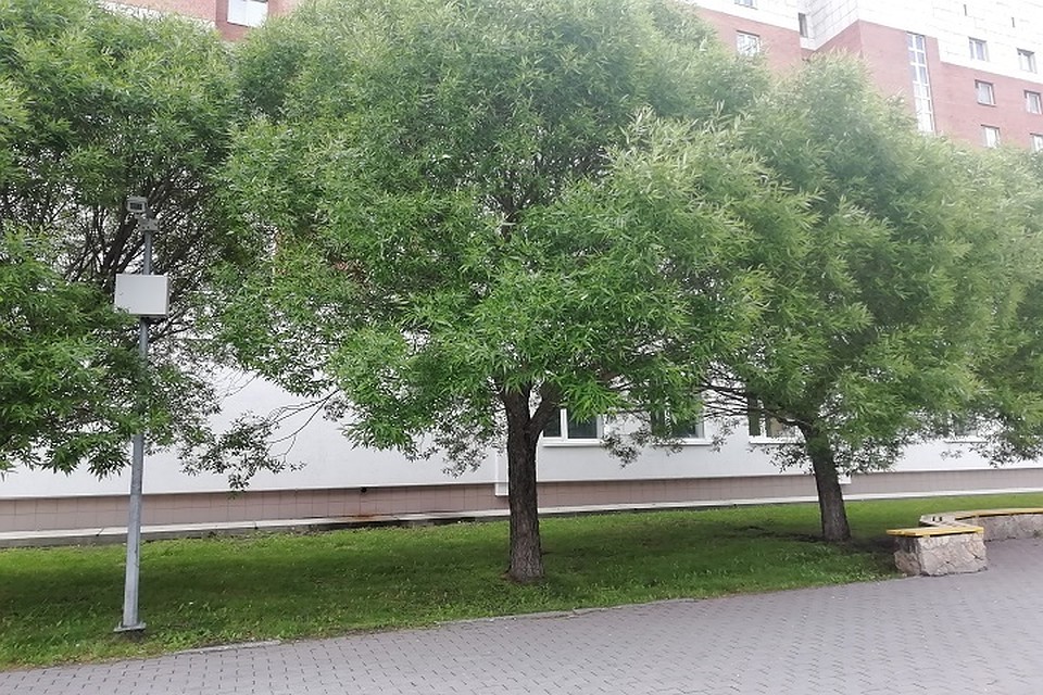 Погода в Югре 3 июня: небольшое похолодание. Фото: Савинов Руслан.