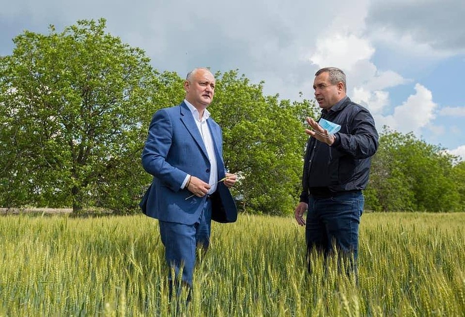 Президент Игорь Додон обсудил насущные проблемы с аграриями. Фото: соцсети