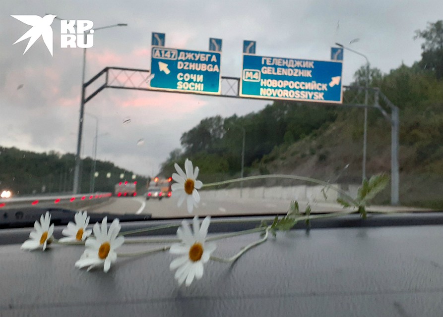 Границы края открыты для туристов