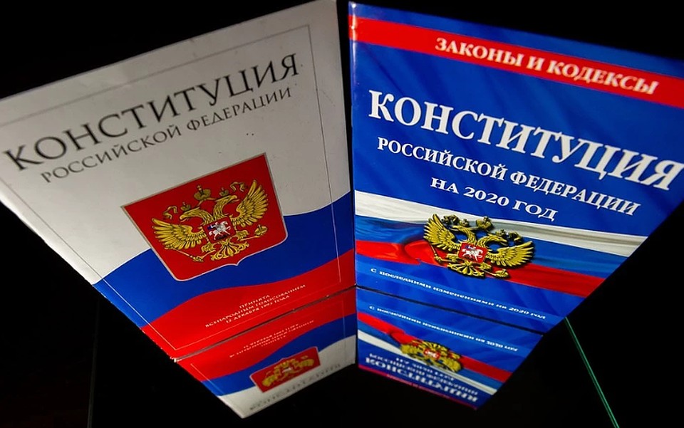 Наблюдателями на голосовании по поправкам в Конституцию станут более 20 тыс. человек