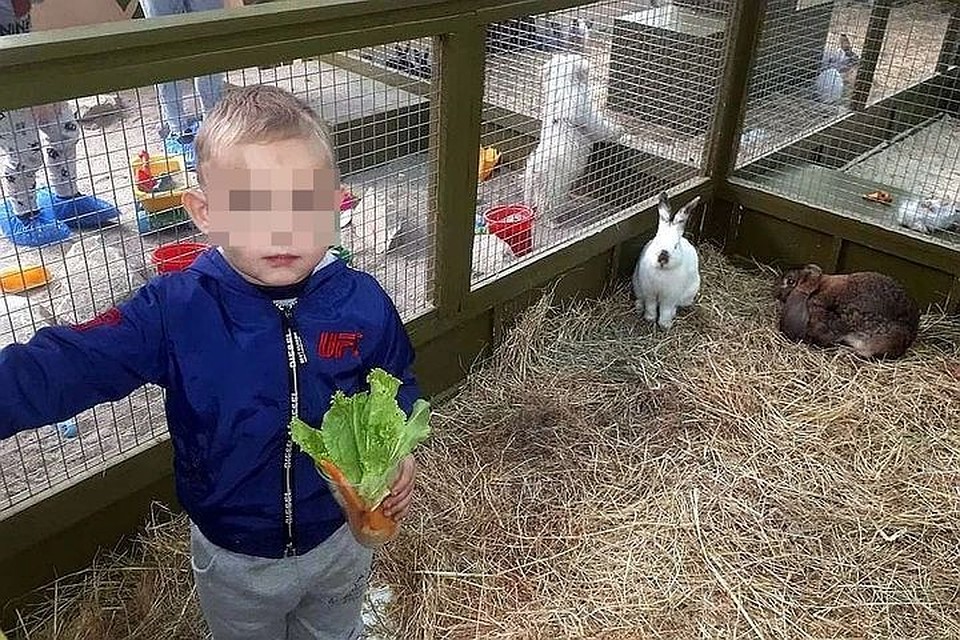 Мальчик играл в песочнице перед тем, как произошла трагедия. Фото: соцсети