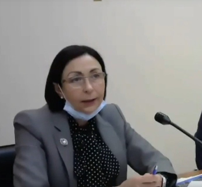 О планах по строительству Наталья Котова рассказала на заседании гордумы. Фото: гордума