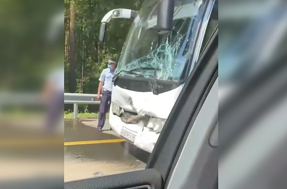 В колонне из шести автобусов ехали 130 детей и 40 взрослых. Фото: скриншот с видео