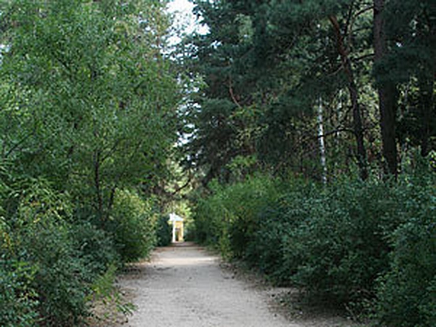 из архива "КП".