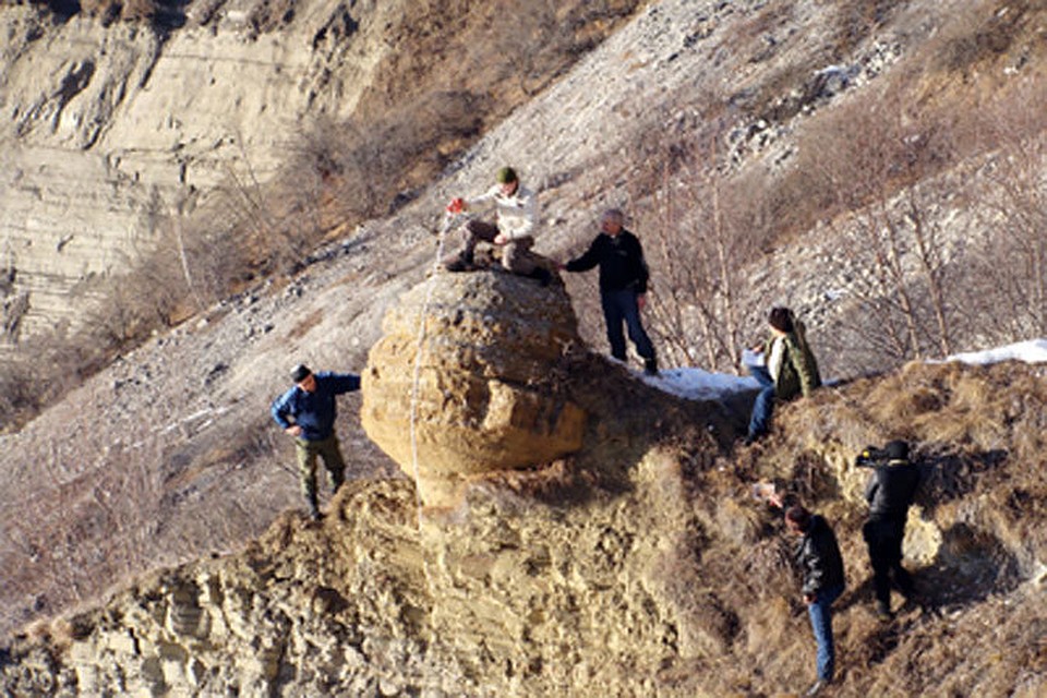Такой камень можно легко перепутать с моллюском.