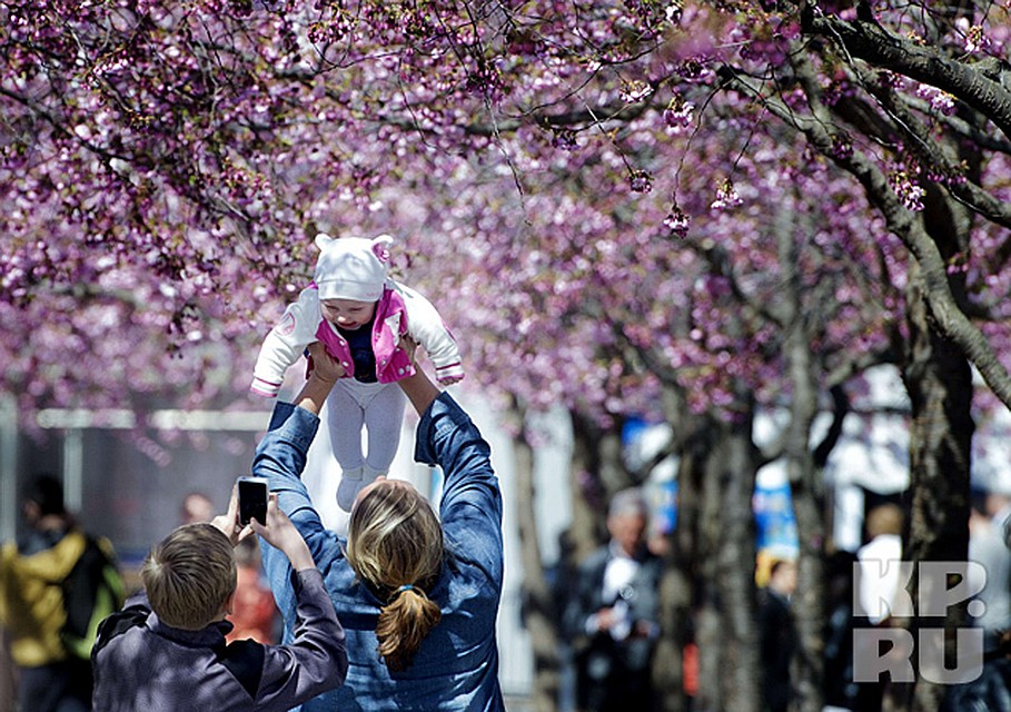 Фото: REUTERS
