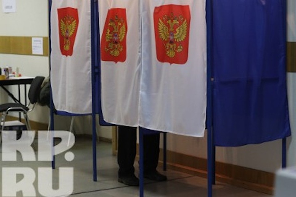 Выборы глав нескольких городов и районов пройдут в Вологодской области осенью