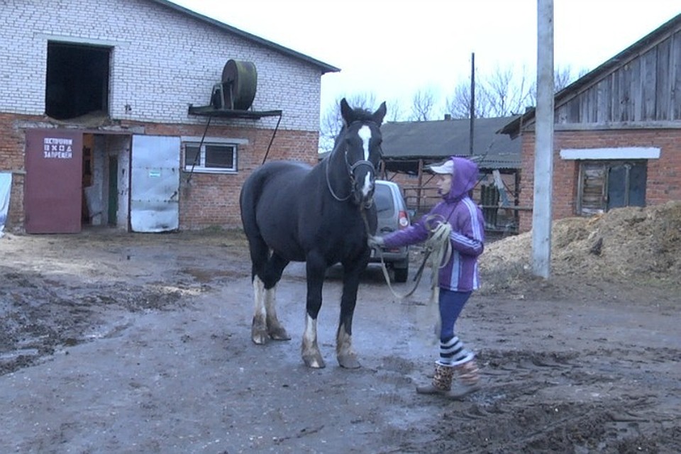 Батенёв Дмитрий