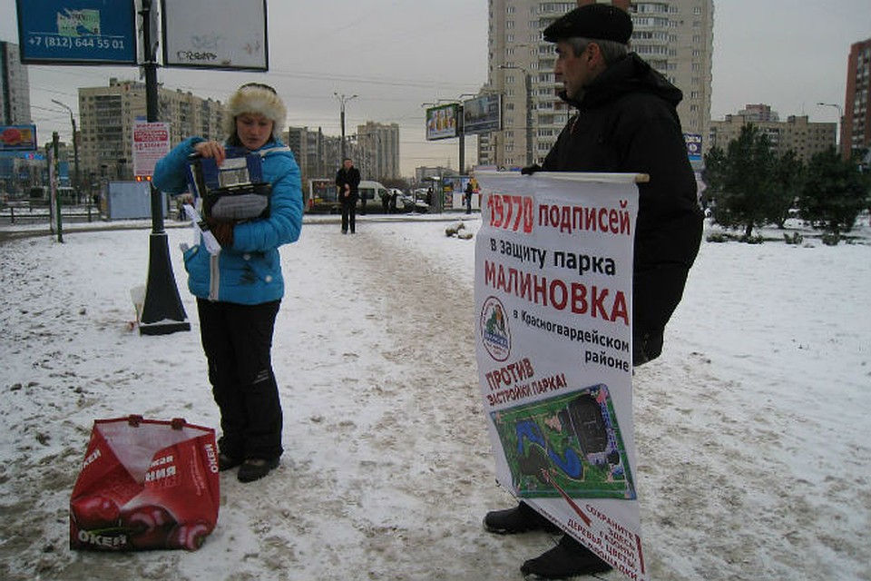 Пикет в защиту парка