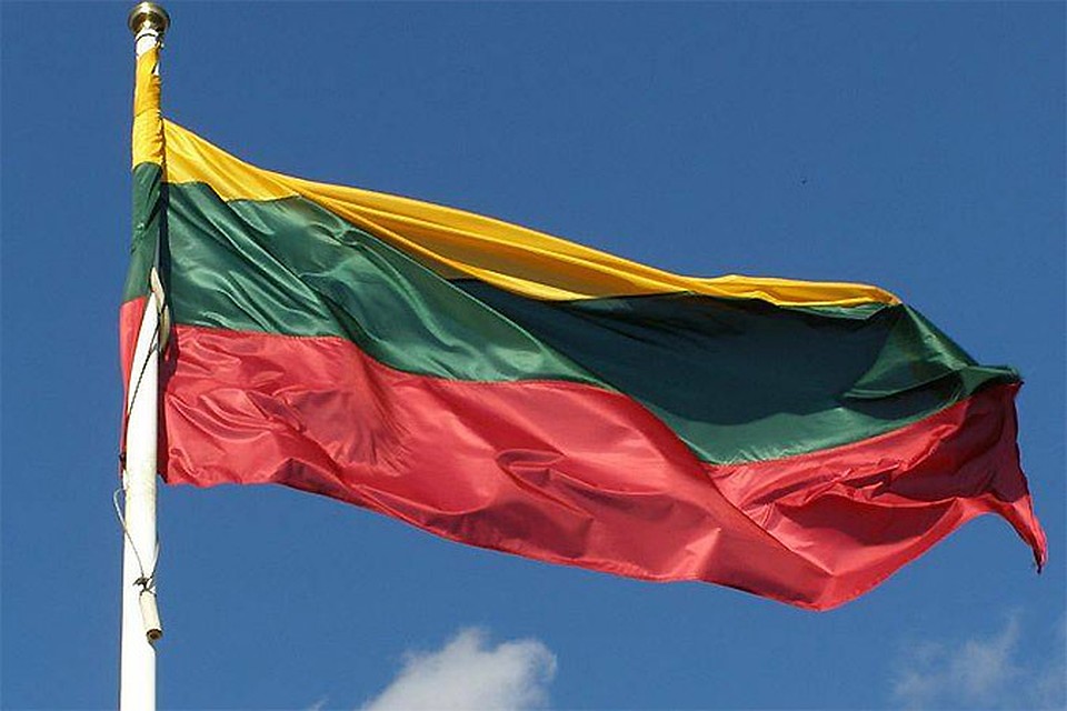 Литва озабочена не развитием своей собственной экономики, а судьбой охваченной кризисом Украины.
