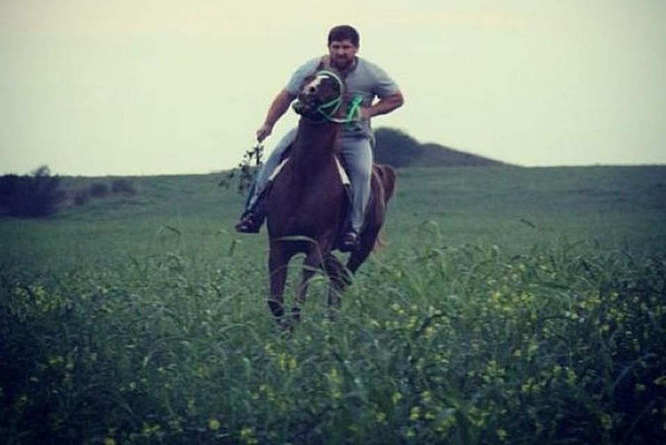 Рамзан Кадыров известен как большой любитель лошадей. Фото: Instagram