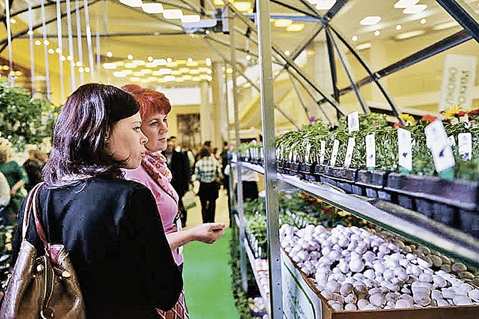 Конкурсы наше подмосковье 2016 Конкурсы наше подмосковье 2016