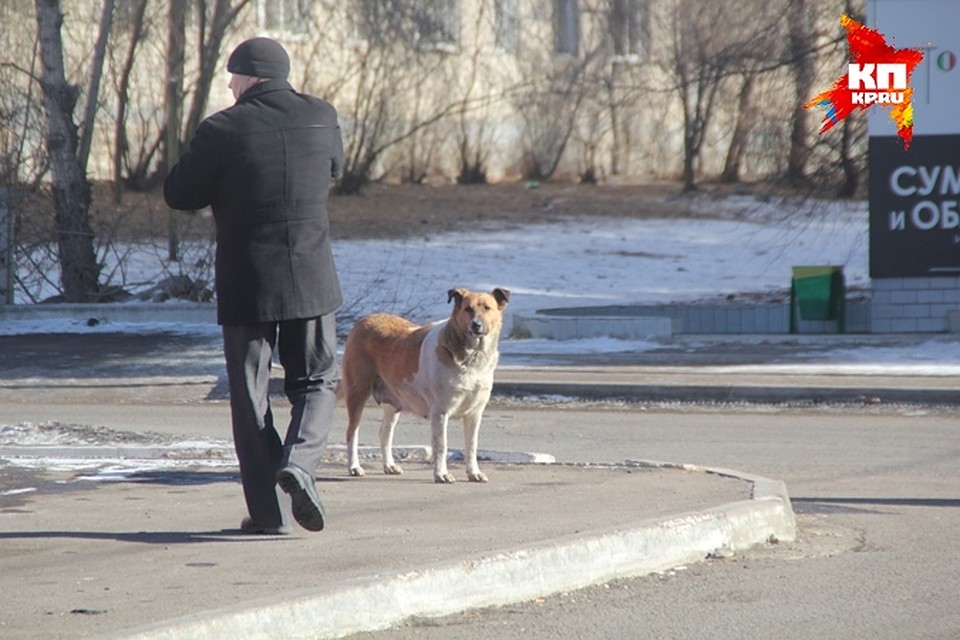 Архив "КП-Чита"