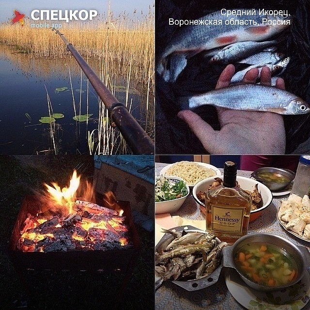 Фото: Сергей АНДРЕЕВ