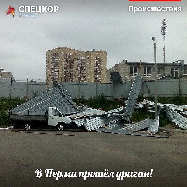 Фото: Мобильное приложение «Спецкор» от «Комсомольской правды»