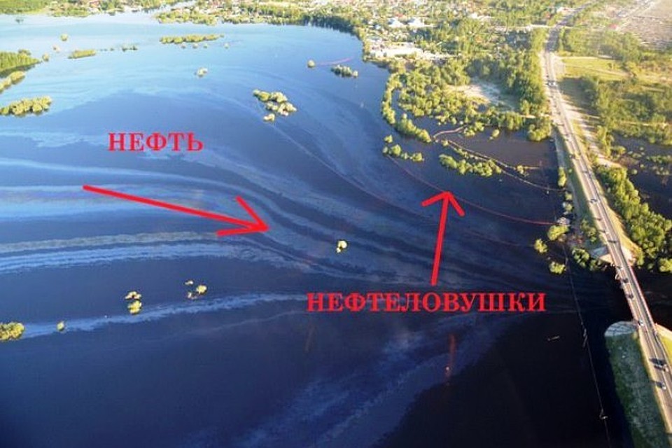Природнадзор ХМАО возбудил дело по разливу нефти под Нефтеюганском. Фото: соцсеть, "Это Юганск, детка"