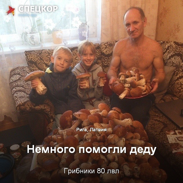Фото: Мобильное приложение «Спецкор» от «Комсомольской правды»
