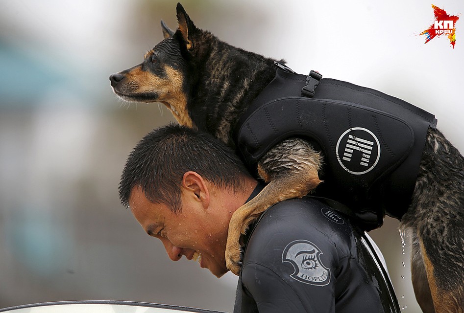 Фото: REUTERS