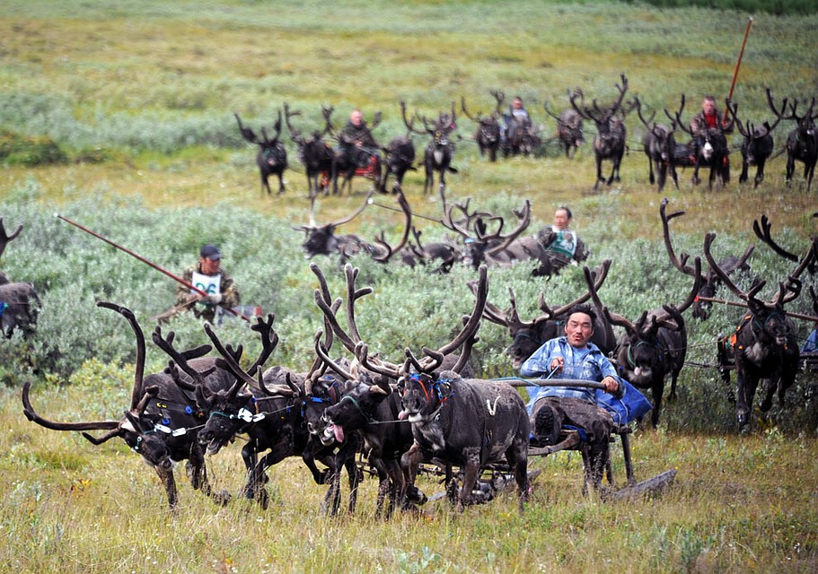 Фото: Сергей АНДРЕЕВ