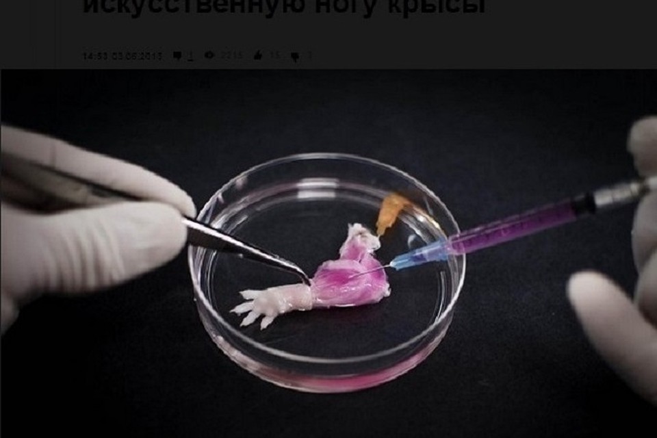 Фото: Массачусетский Центр регенеративной медицины
