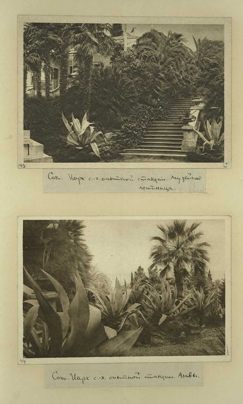 digitalcollections.nypl.org