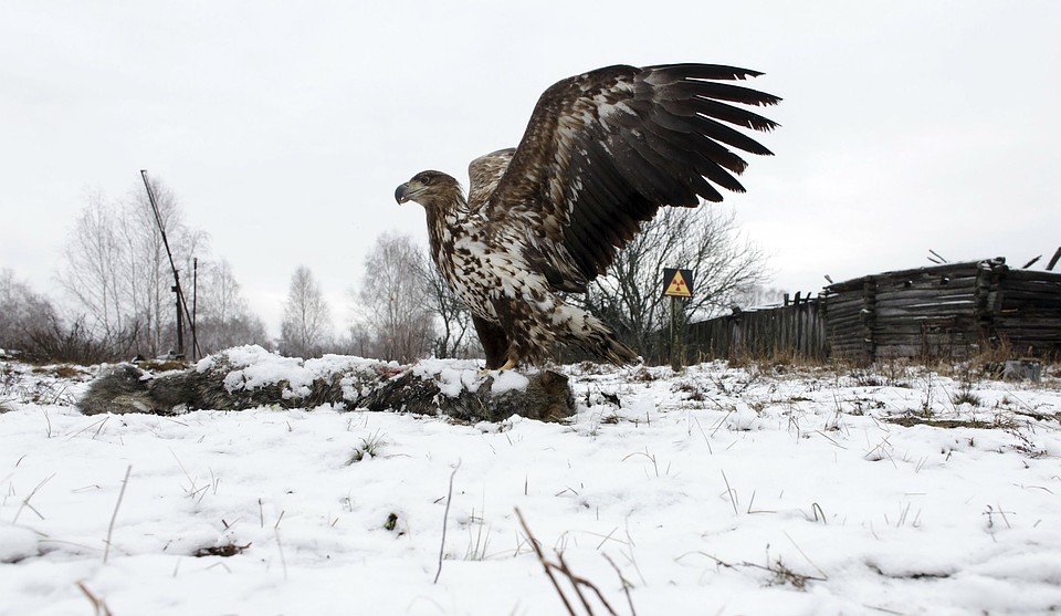Фото: REUTERS