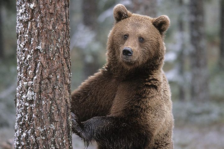 Фото: архив "КП"