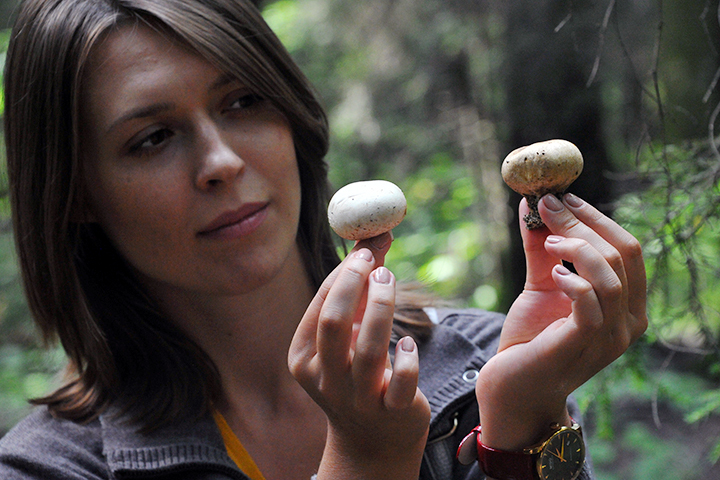 В Москве съедобные грибы не растут целыми семействами в парках и на улицах, и даже лесах