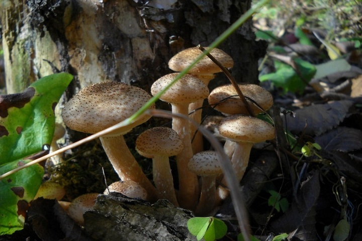 Фото: Александр Попков