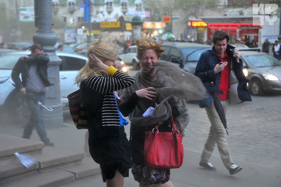 Из-за сильного ветра в Беларуси сегодня об'явлен оранжевый уровень опасности. Фото: архив "КП".