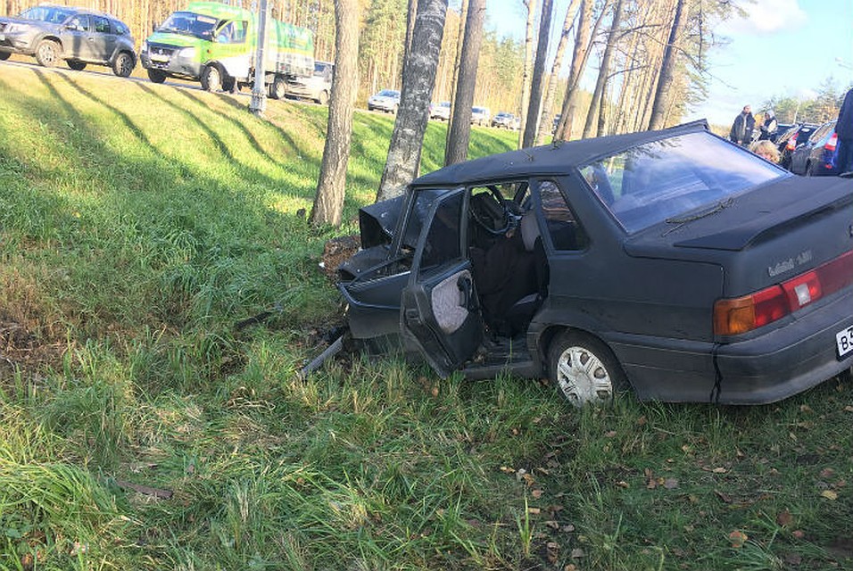 ФОТО: Мария Ермолаева (vk.com/spb_today)