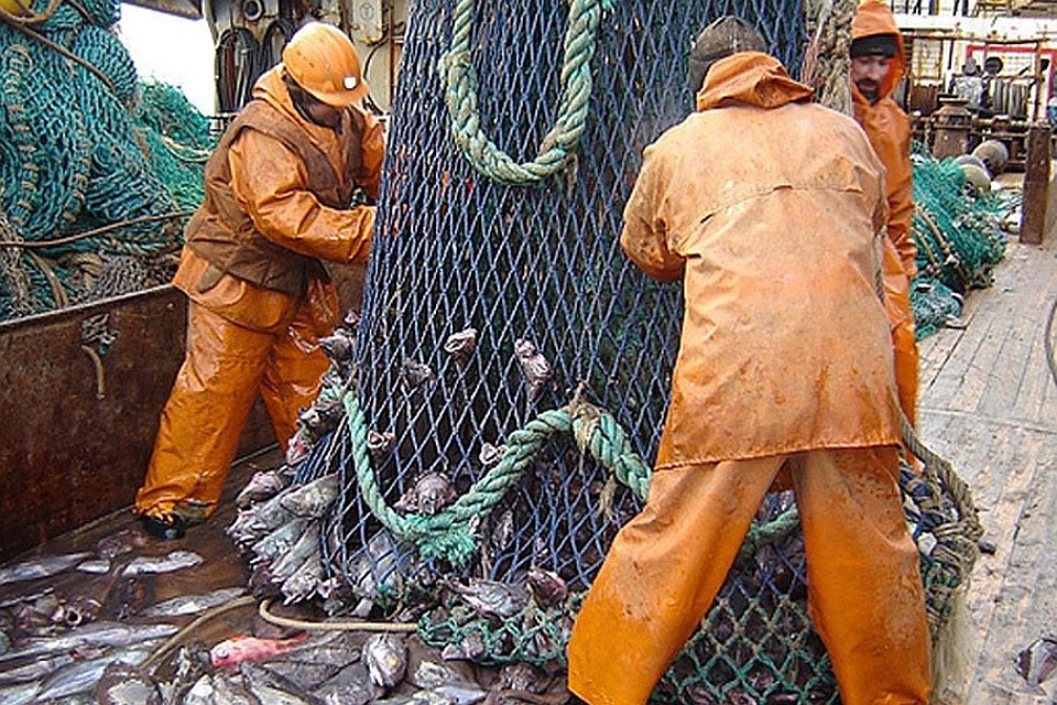 Норвегия и Россия договорятся о квотах на вылов рыбы. Фото: с сайта murmansk.fishretail.ru