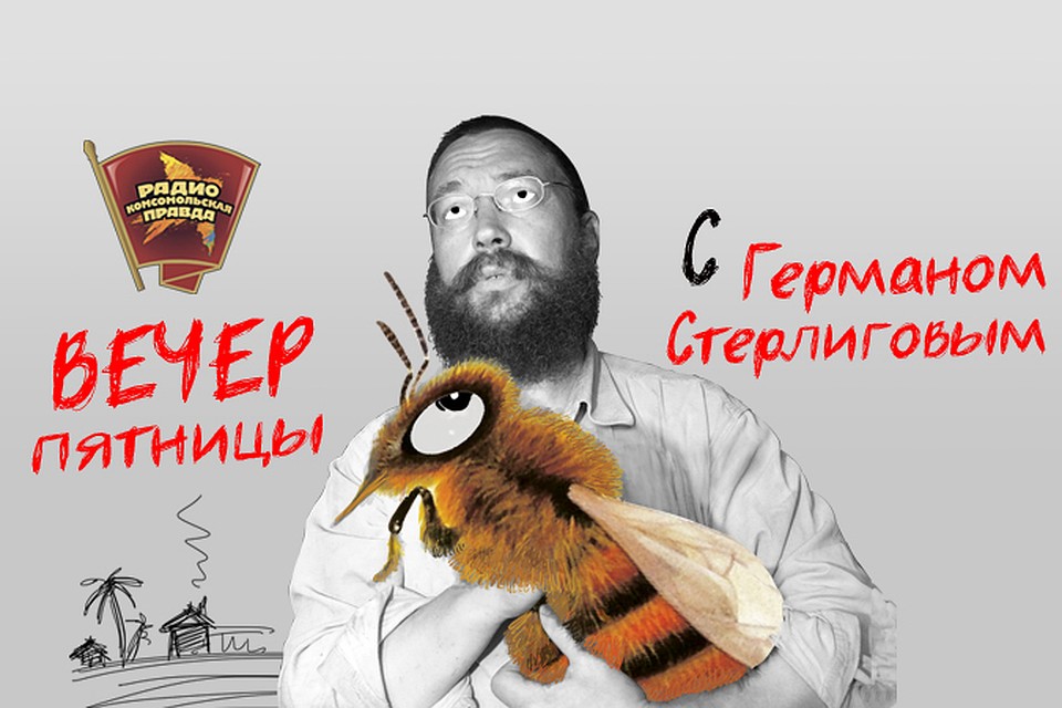 Герман Стерлигов: Нормального человека выбрали в США, поэтому весь мир извращенцев недоволен