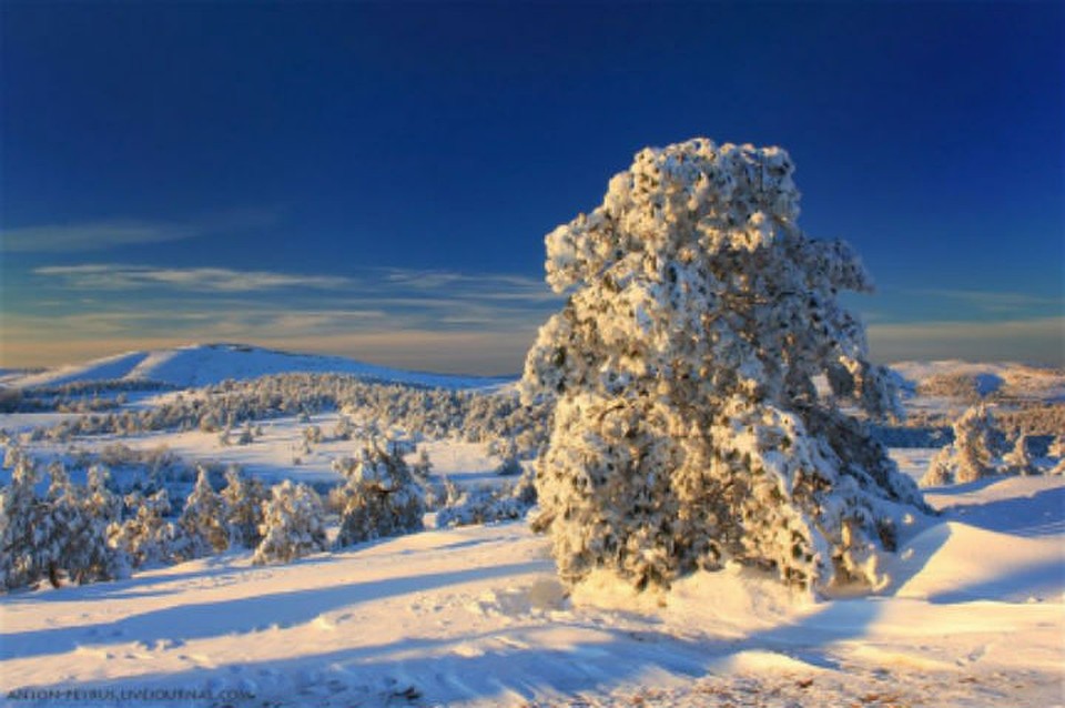 Фото: siberian.mchs.ru