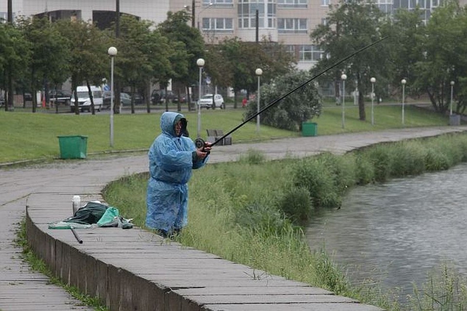 Трагедия случилась на выходных. Фото: из архива.