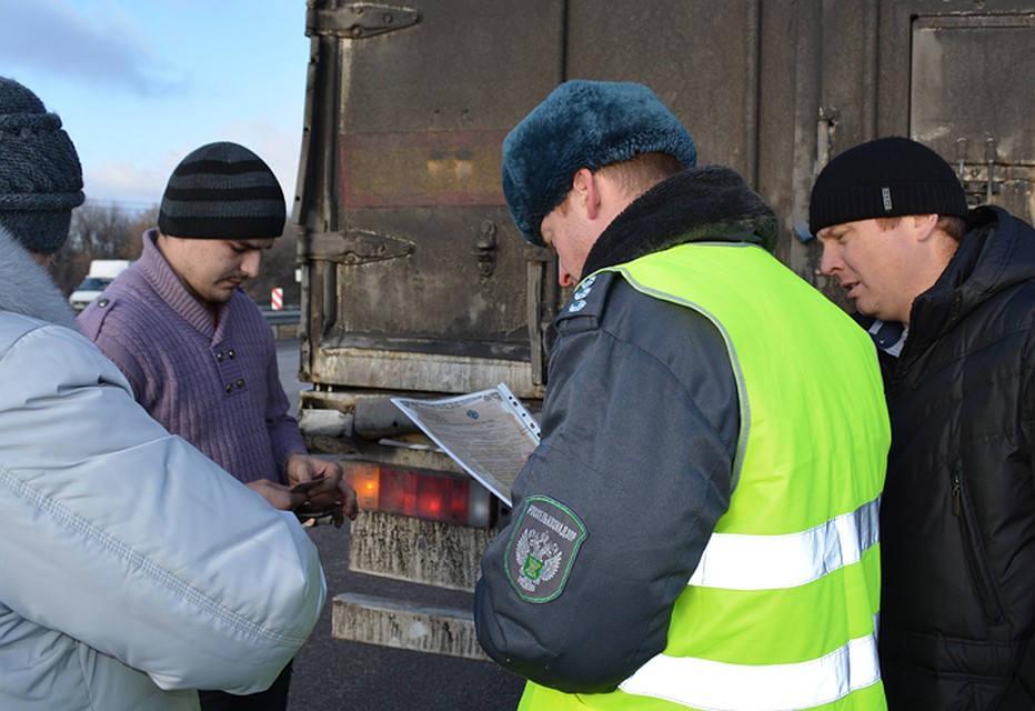 В ходе проверки возимой продукции на территорию региона.