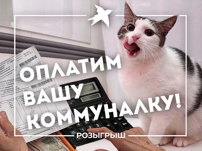 Фото: https://vk.com/belarus_kp
